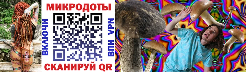 omg как зайти  маркетплейс как зайти  Псилоцибиновые грибы Psilocybe  Лесосибирск 