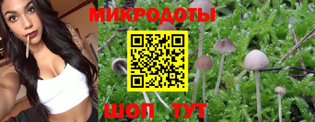 Лесосибирск  Галлюциногенные грибы мицелий  Вход с VPN 